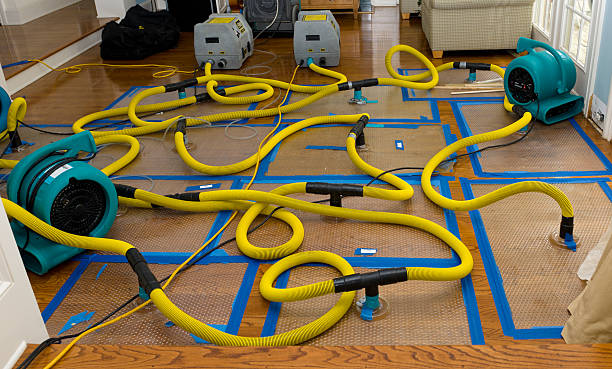 Professional Crawl Space Water Removal technician working in Sunland, CA